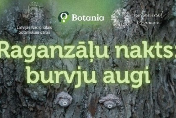 Raganzāļu nakts Salaspilī 